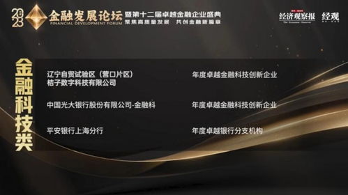 迎挑戰(zhàn) 創(chuàng)新績(jī) 桔子數(shù)科榮獲“年度卓越金融科技創(chuàng)新企業(yè)”彰顯實(shí)力
